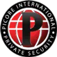 Picoreinternational